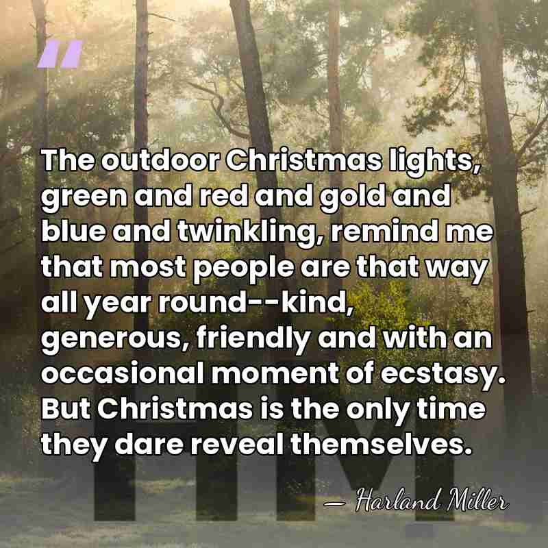 The outdoor Christmas lights, green and red and gold and blue and&hellip; - Harland Miller