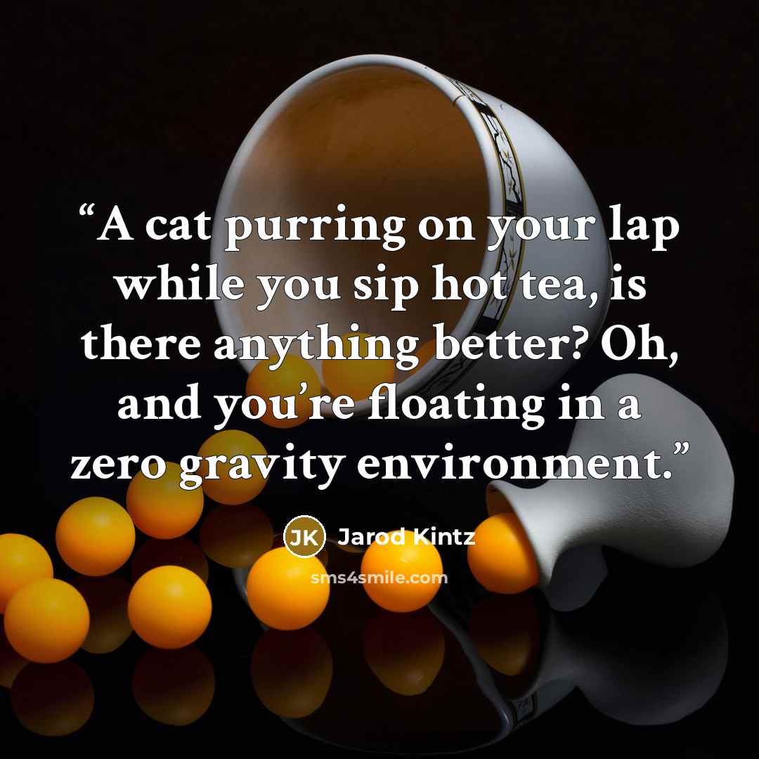 “A cat purring on your lap while you sip hot tea, is there anything better? Oh, and you’re floating in a zero gravity environment.” quote by Jarod Kintz