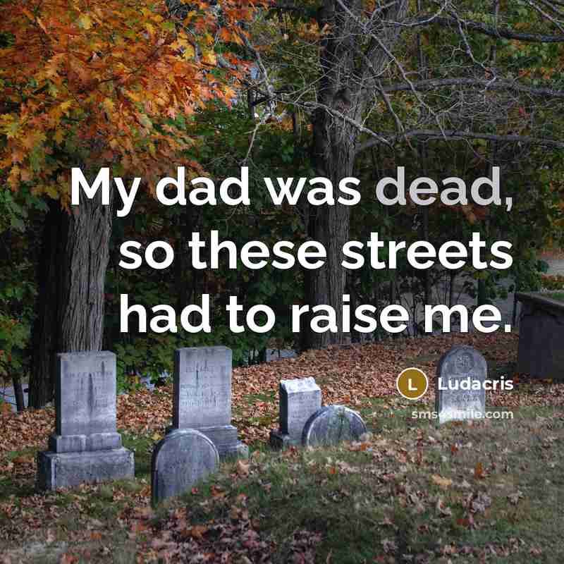 “My dad was dead, so these streets had to raise…” quote by Ludacris