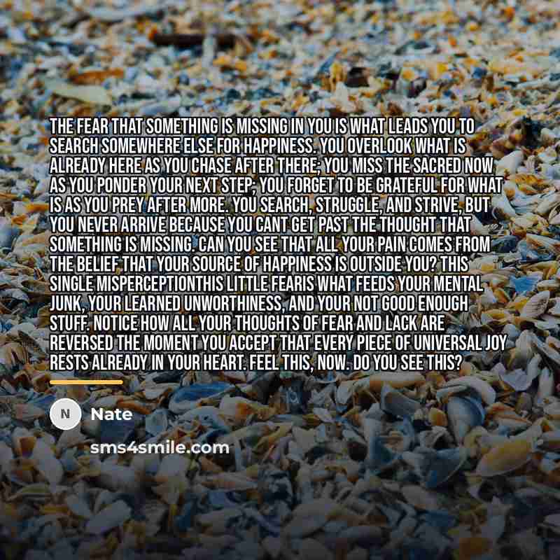 “The fear that something is missing in you is what…” quote by Nate