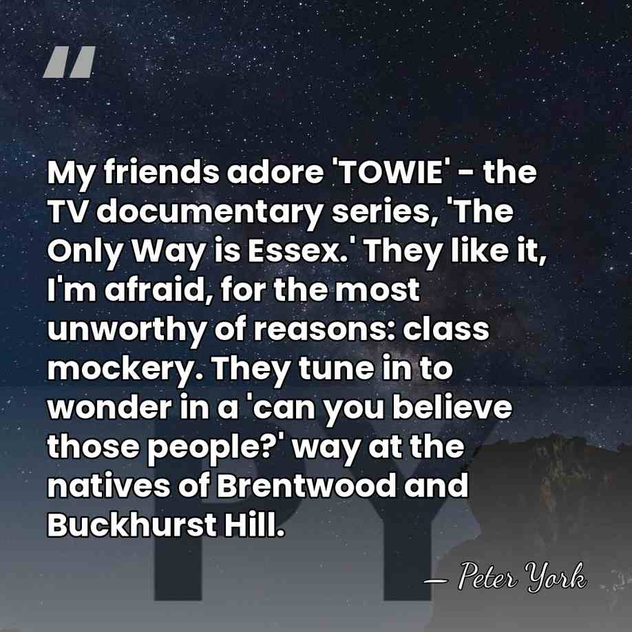 My friends adore 'TOWIE' - the TV documentary series, 'The Only Way&hellip; - Peter York