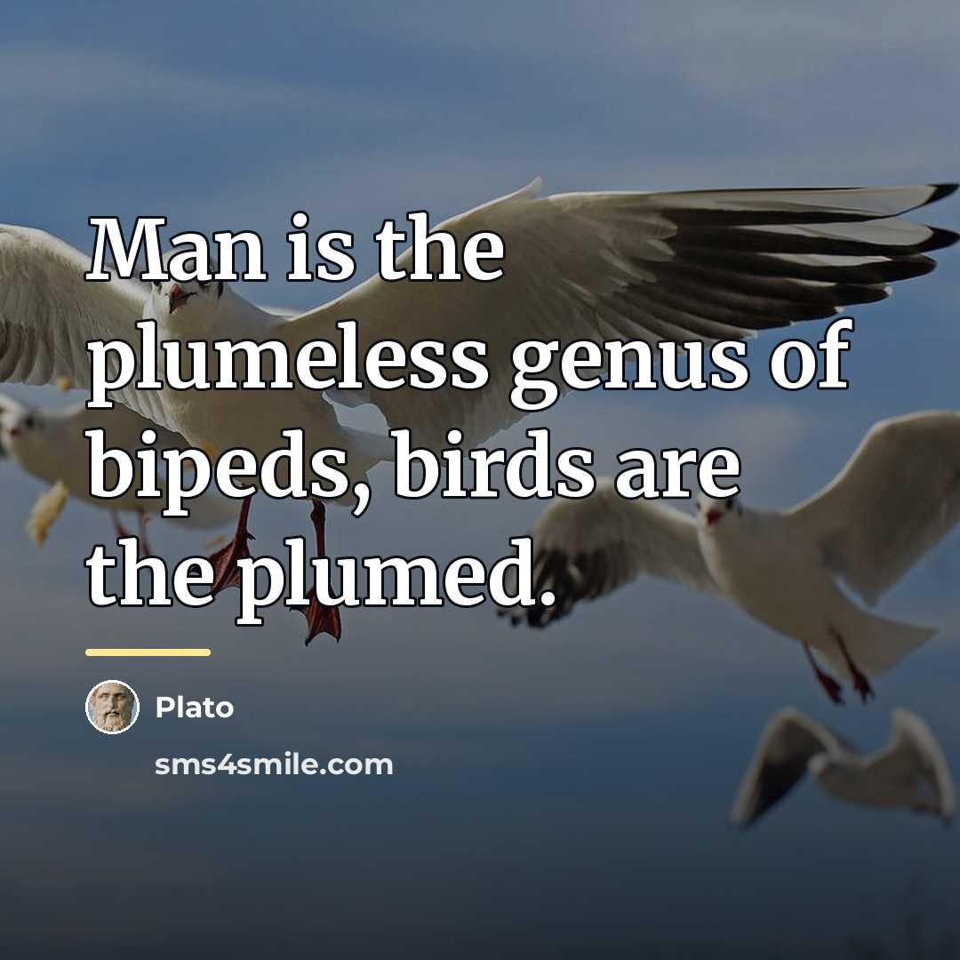 “Man is the plumeless genus of bipeds, birds are the…” quote by Plato