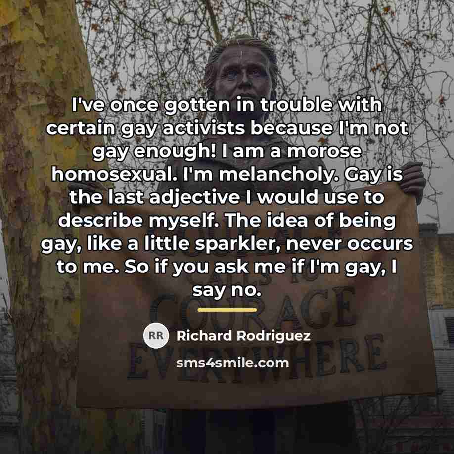 “I've once gotten in trouble with certain gay activists because…” quote by Richard Rodriguez