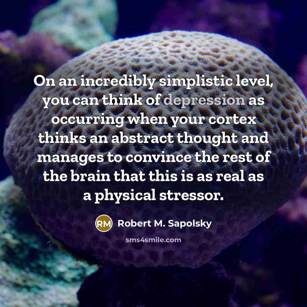 “On an incredibly simplistic level, you can think of depression…” quote by Robert M. Sapolsky