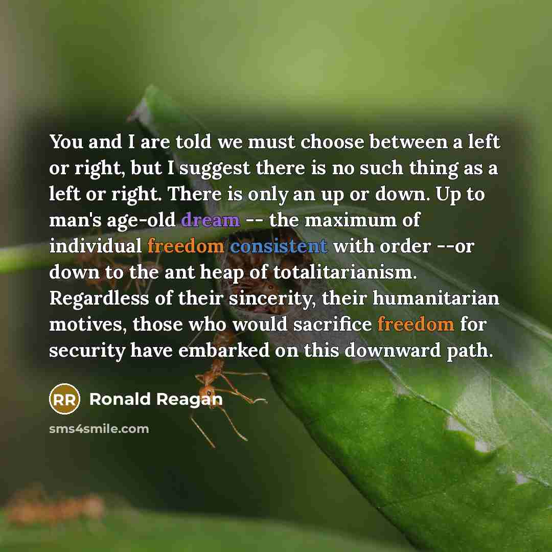 “You and I are told we must choose between a…” quote by Ronald Reagan