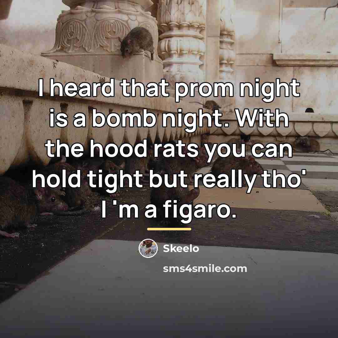 “I heard that prom night is a bomb night. With…” quote by Skeelo