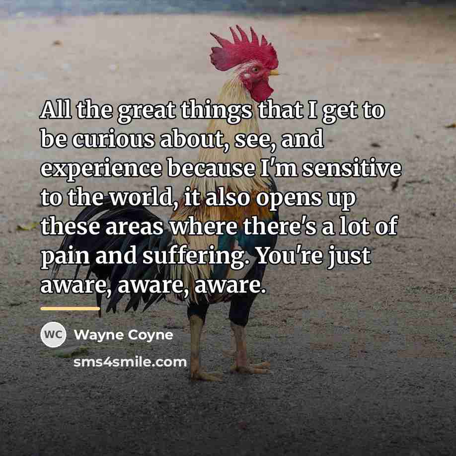 “All the great things that I get to be curious…” quote by Wayne Coyne