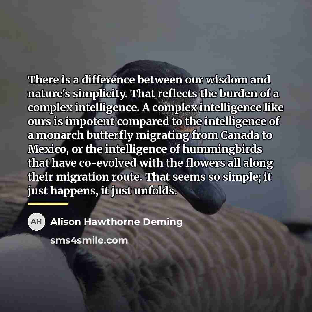 “There is a difference between our wisdom and nature's simplicity.…” quote by Alison Hawthorne Deming