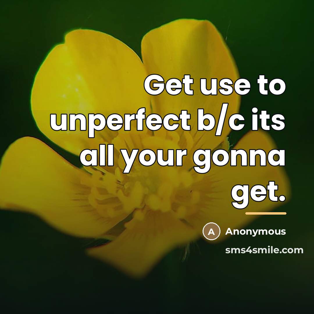 “Get use to unperfect b/c its all your gonna get.…” quote by Anonymous
