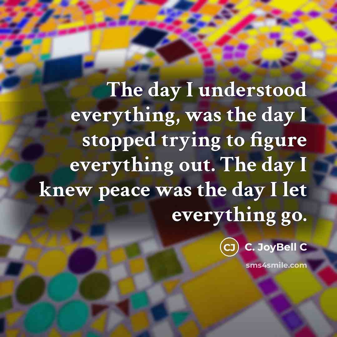 “The day I understood everything, was the day I stopped…” quote by C. JoyBell C