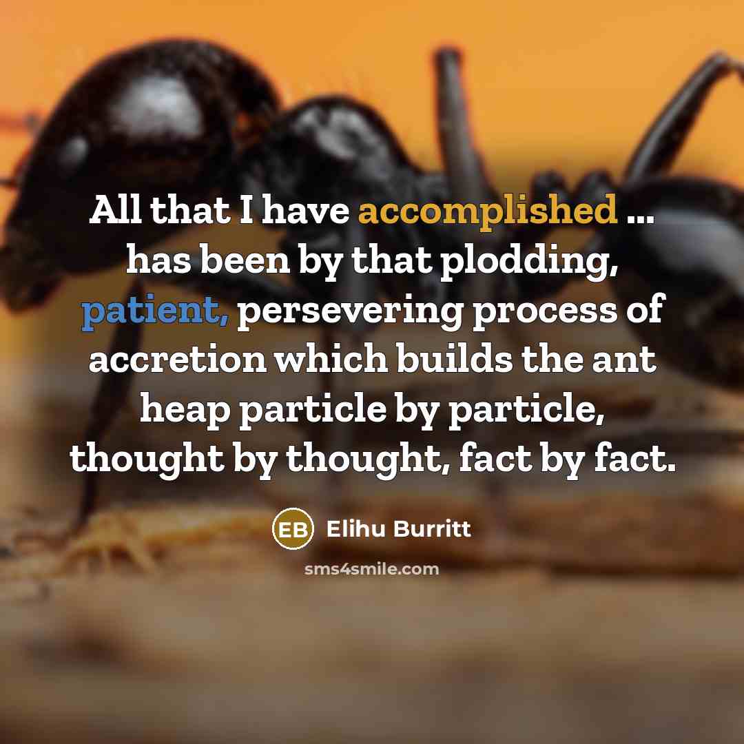 “All that I have accomplished ... has been by that…” quote by Elihu Burritt