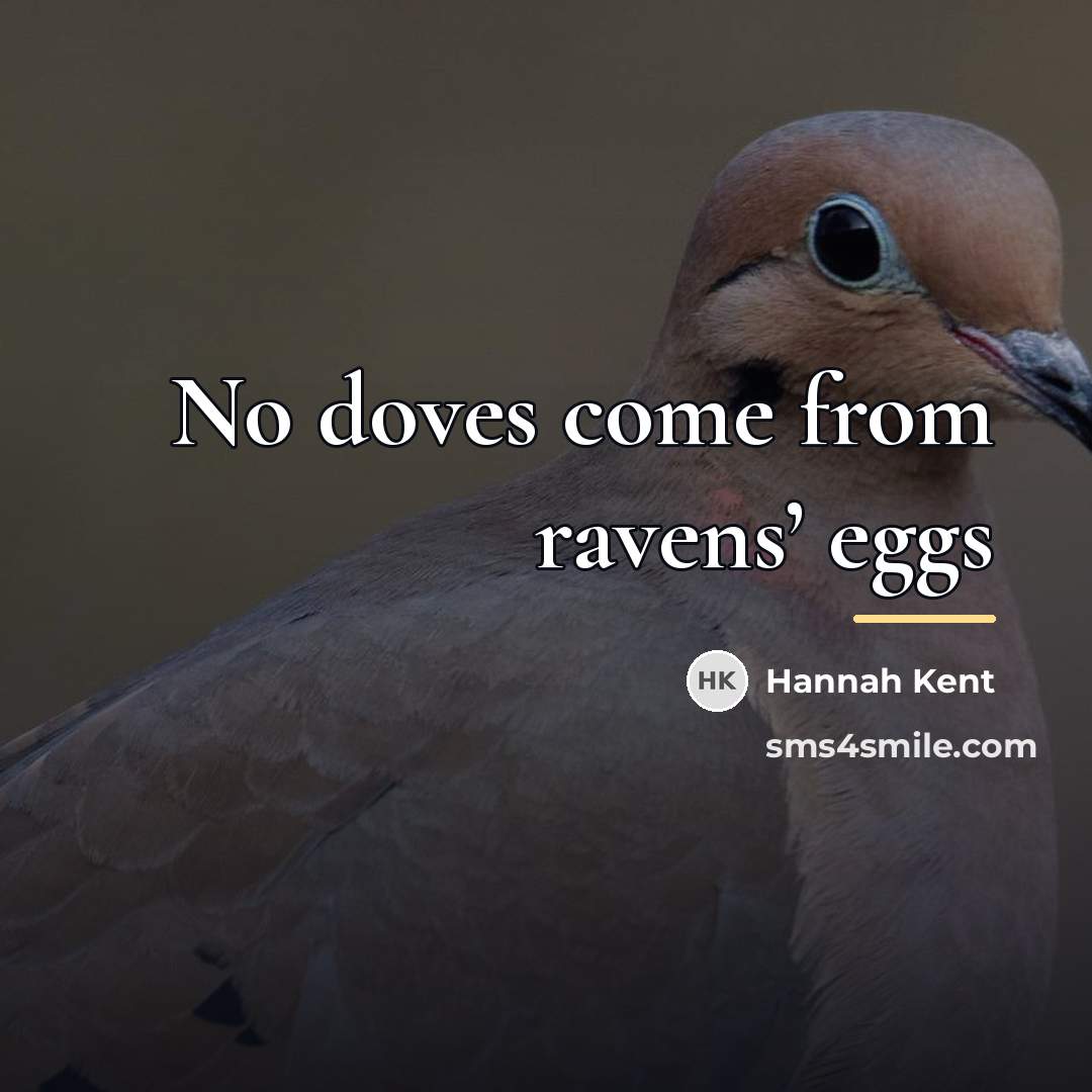“No doves come from ravens’ eggs…” quote by Hannah Kent