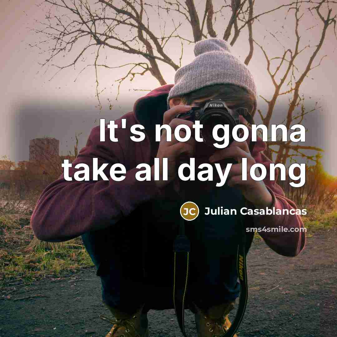 “It's not gonna take all day long…” quote by Julian Casablancas