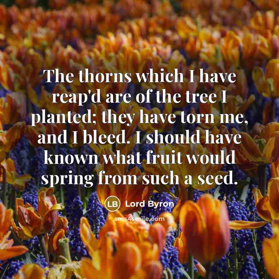 “The thorns which I have reap'd are of the tree…” quote by Lord Byron