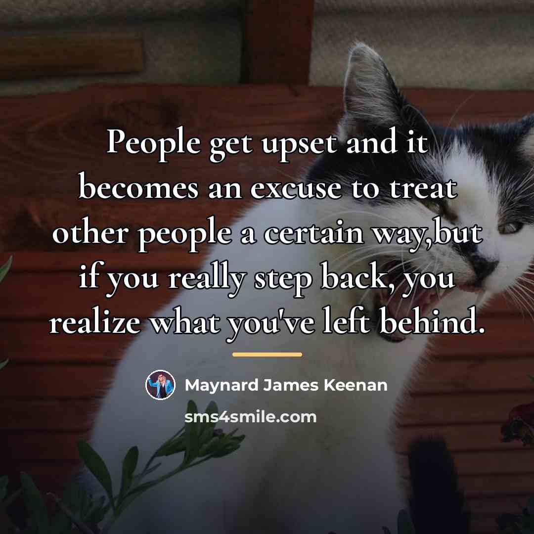 “People get upset and it becomes an excuse to treat…” quote by Maynard James Keenan
