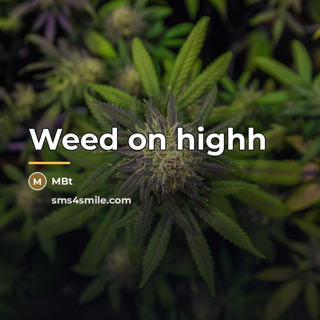 “Weed on highh…” quote by Mbt