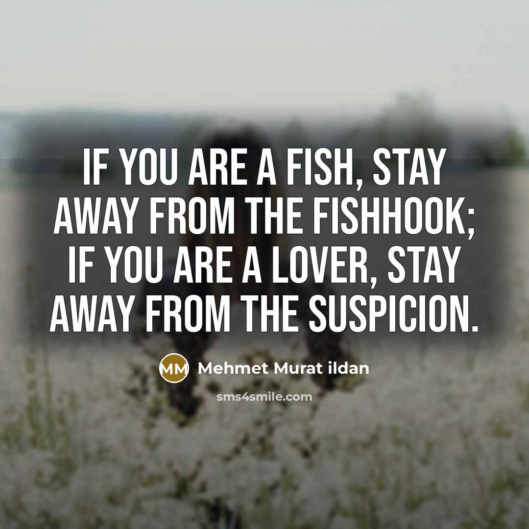 “If you are a fish, stay away from the fishhook;…” quote by Mehmet Murat Ildan