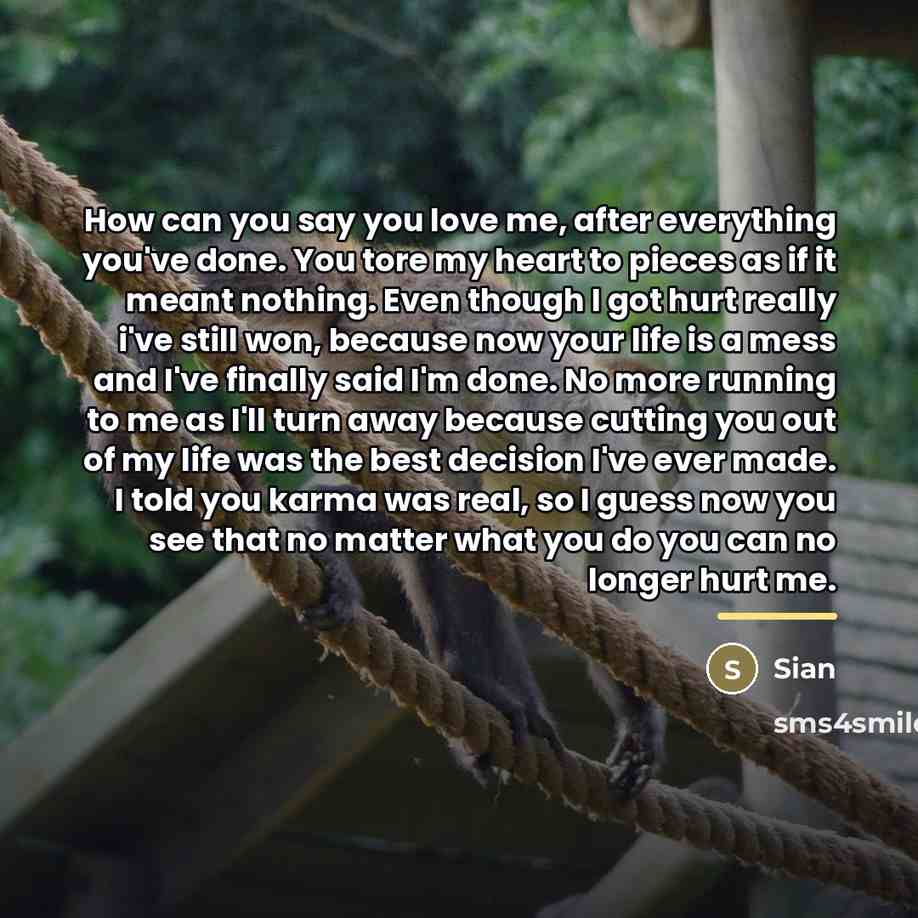“How can you say you love me, after everything you've…” quote by Sian