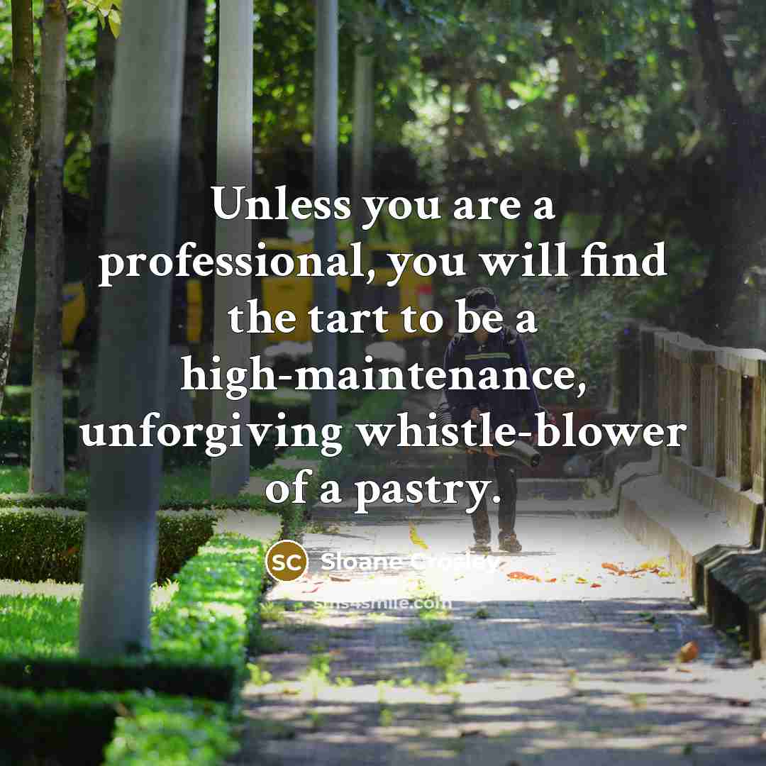“Unless you are a professional, you will find the tart…” quote by Sloane Crosley