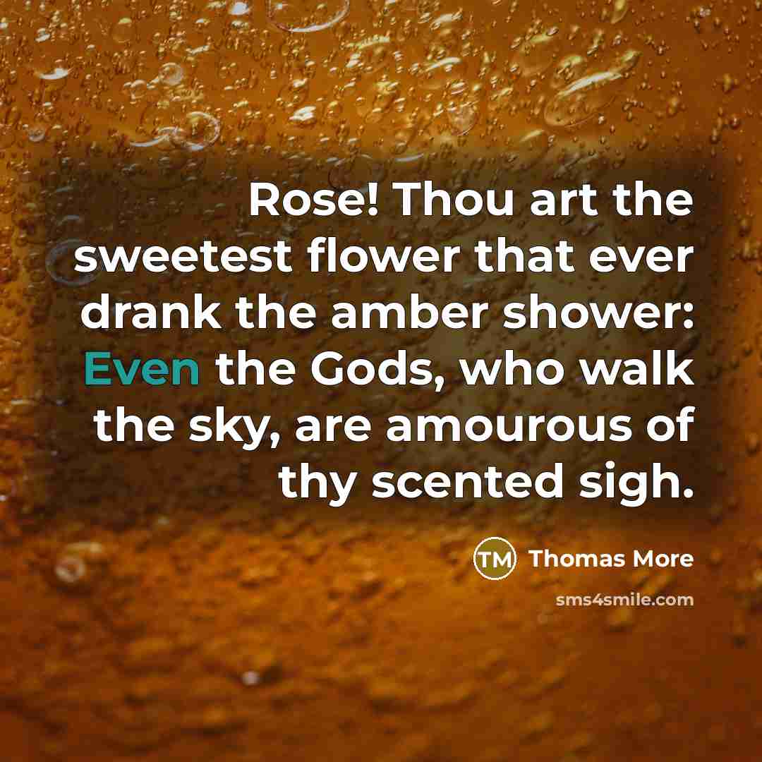 “Rose! Thou art the sweetest flower that ever drank the…” quote by Thomas More