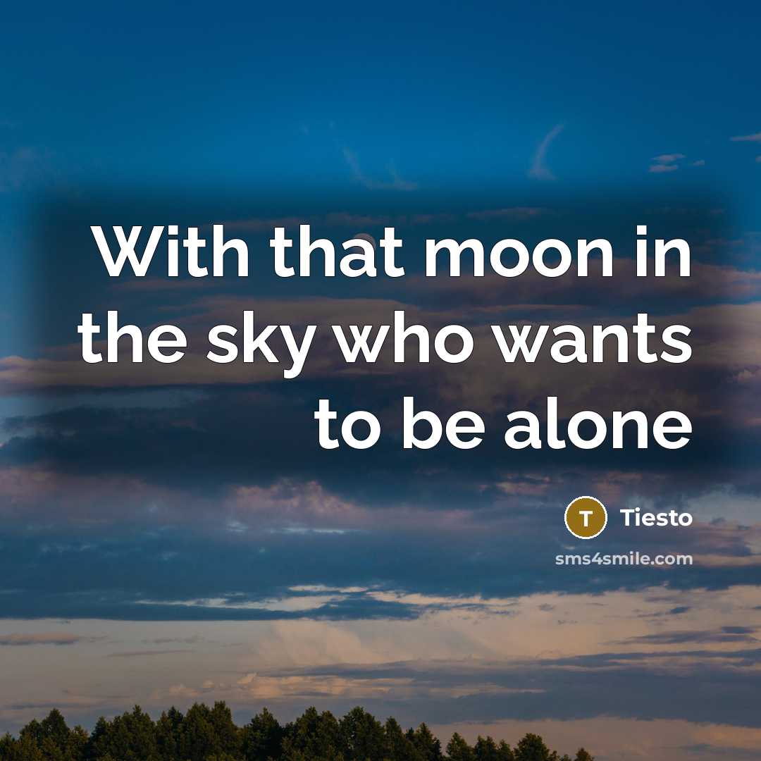 “With that moon in the sky who wants to be alone” quote by Tiesto