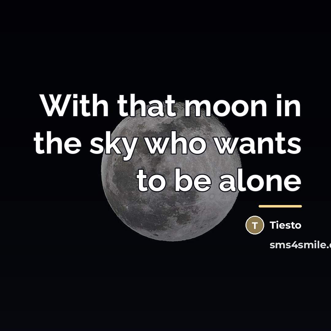 “With that moon in the sky who wants to be…” quote by Tiesto