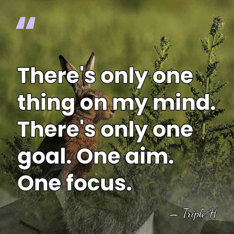 There's only one thing on my mind. There's only one goal. One&hellip; - Triple H