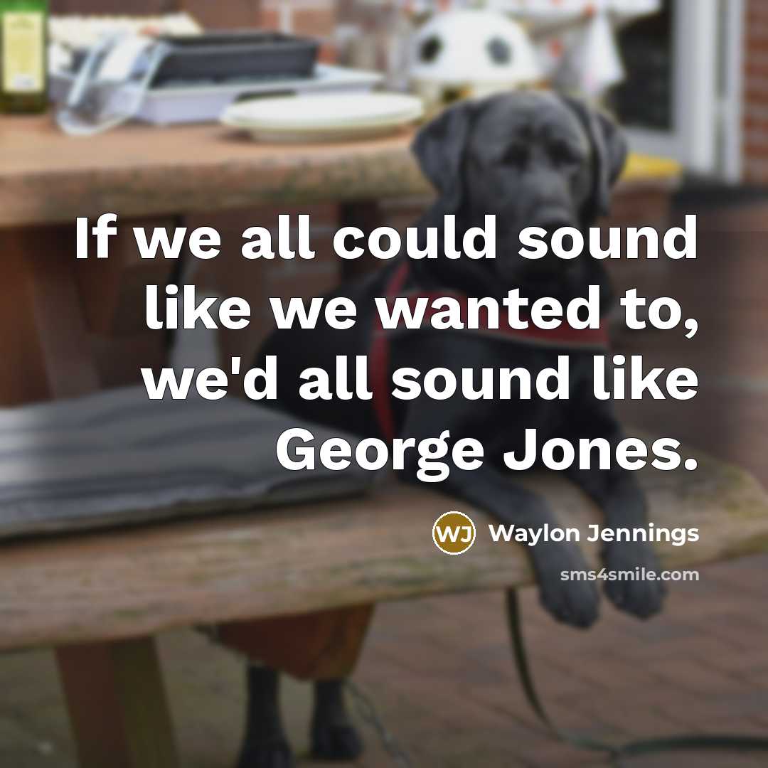 “If we all could sound like we wanted to, we'd…” quote by Waylon Jennings