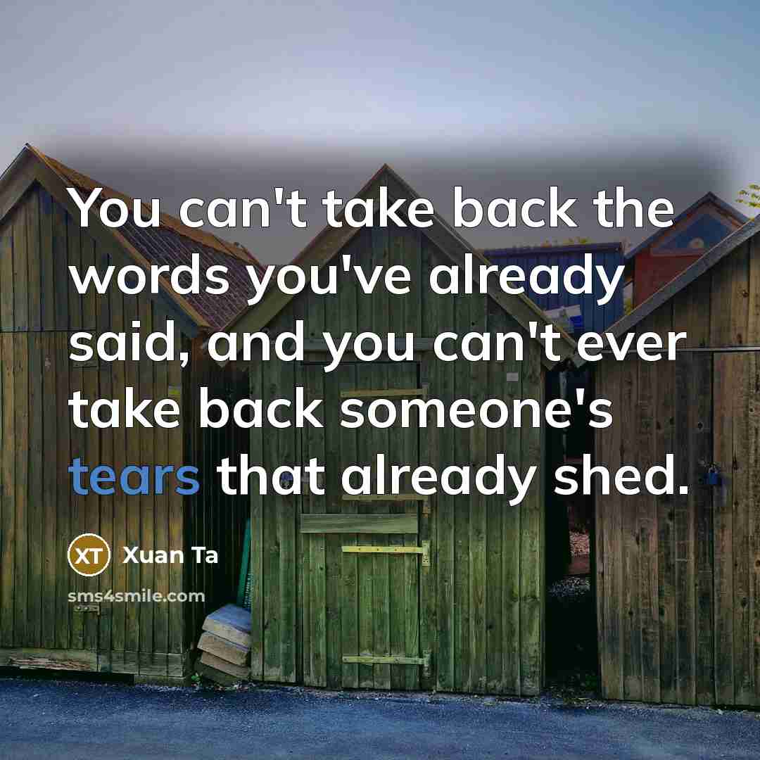 “You can't take back the words you've already said, and you can't ever take back someone's tears that already shed.” quote by Xuan Ta