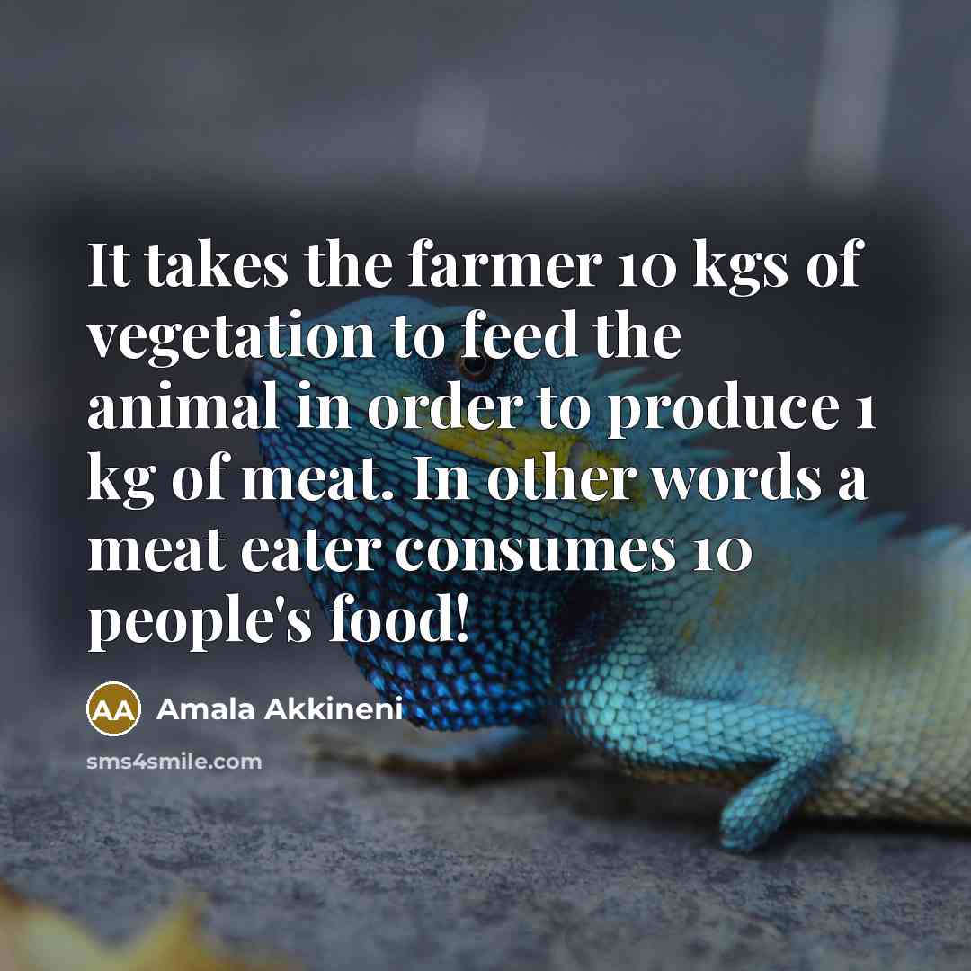 “It takes the farmer 10 kgs of vegetation to feed…” quote by Amala Akkineni