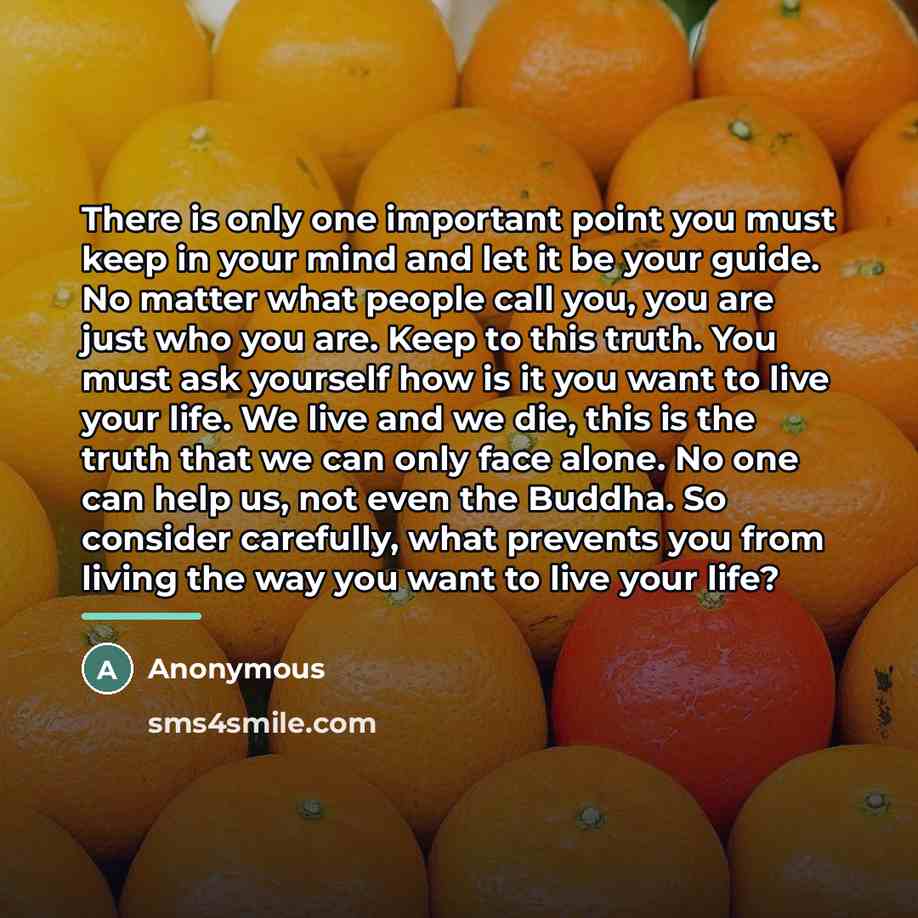 “There is only one important point you must keep in…” quote by Anonymous