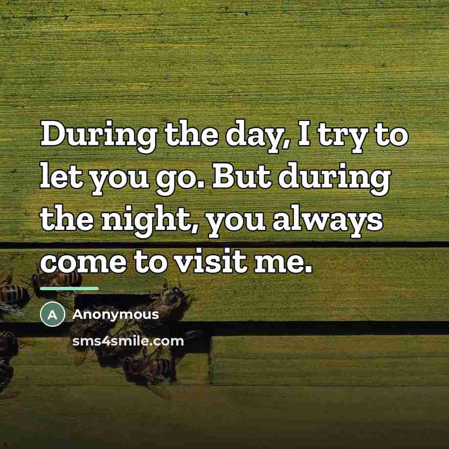 “During the day, I try to let you go. But…” quote by Anonymous