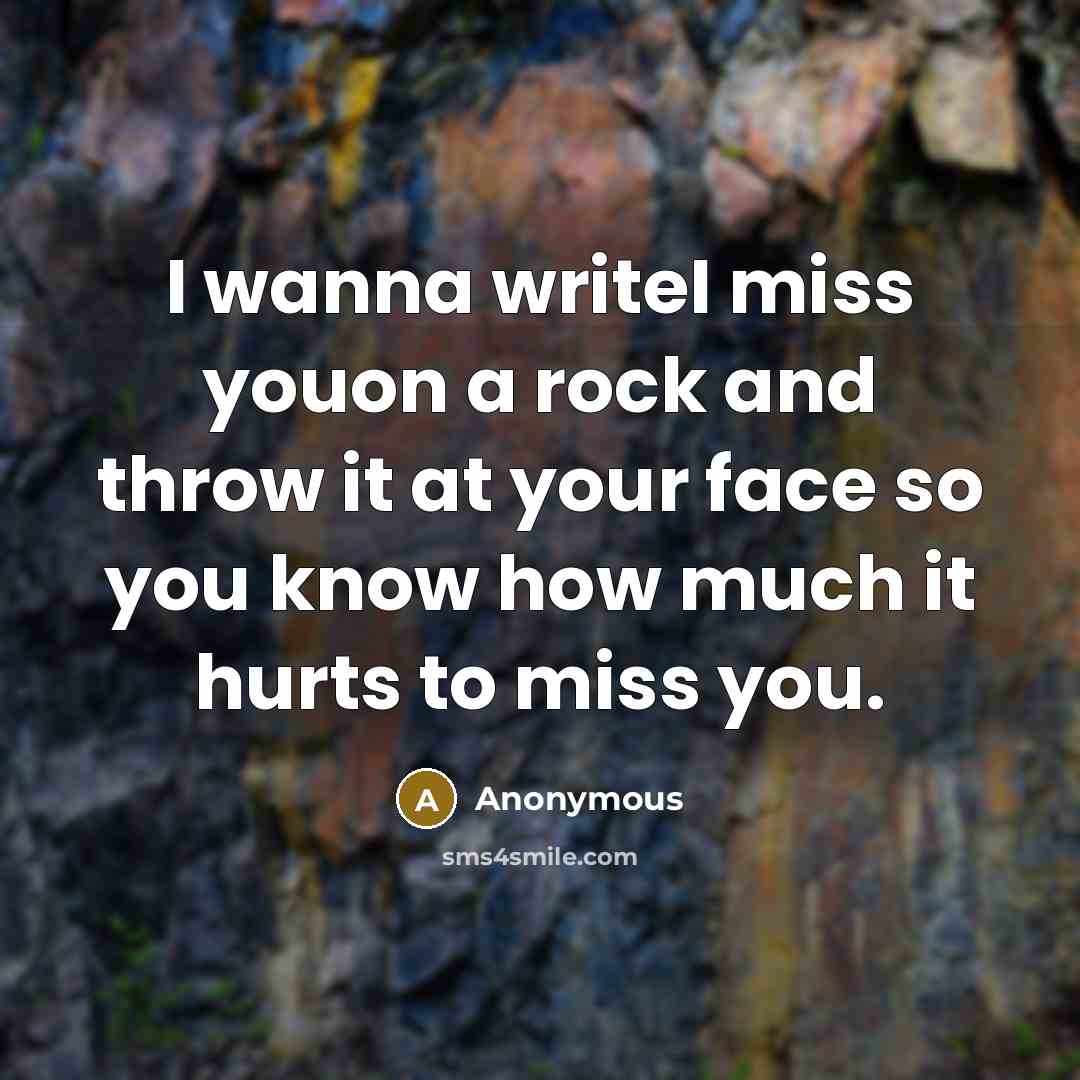 “I wanna writeI miss youon a rock and throw it…” quote by Anonymous