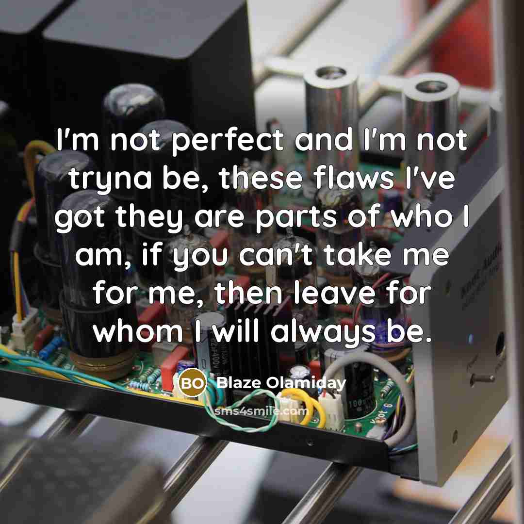 “I'm not perfect and I'm not tryna be, these flaws I've got they are parts of who I am, if you can't take me for me, then leave for whom I will always be.” quote by Blaze Olamiday