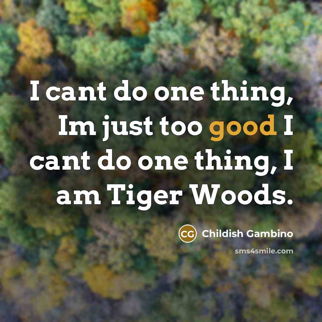 “I cant do one thing, Im just too good I…” quote by Childish Gambino