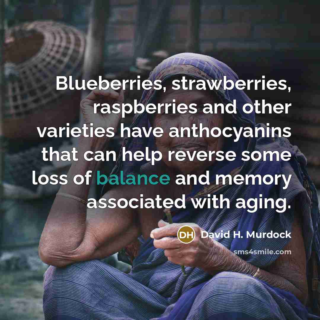“Blueberries, strawberries, raspberries and other varieties have anthocyanins that can…” quote by David H. Murdock