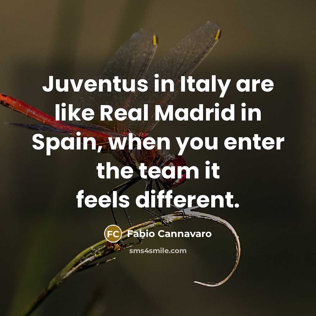 “Juventus in Italy are like Real Madrid in Spain, when…” quote by Fabio Cannavaro