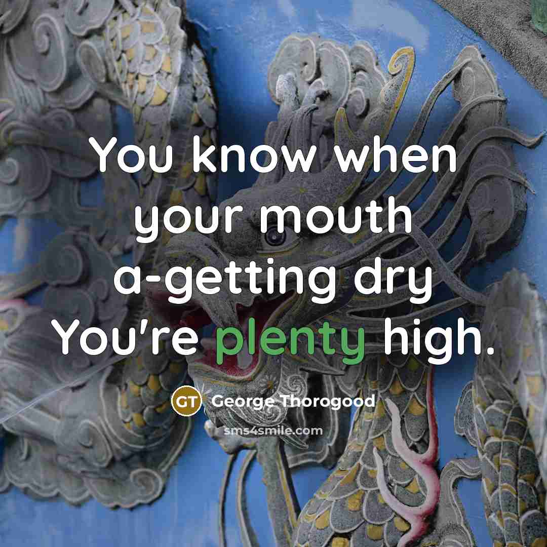 “You know when your mouth a-getting dry You're plenty high.…” quote by George Thorogood