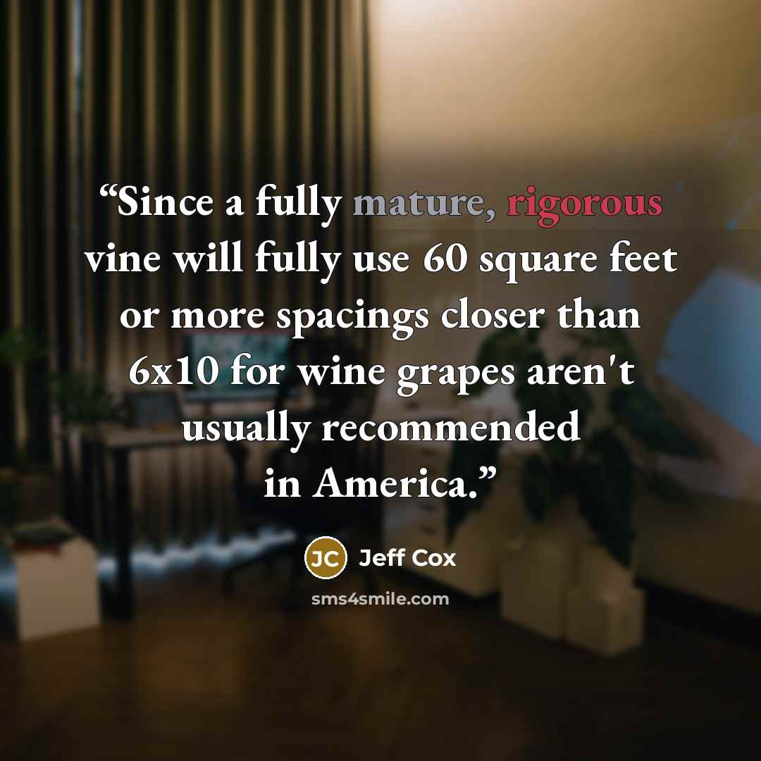 “Since a fully mature, rigorous vine will fully use 60 square feet or more spacings closer than 6x10 for wine grapes aren't usually recommended in America.” quote by Jeff Cox