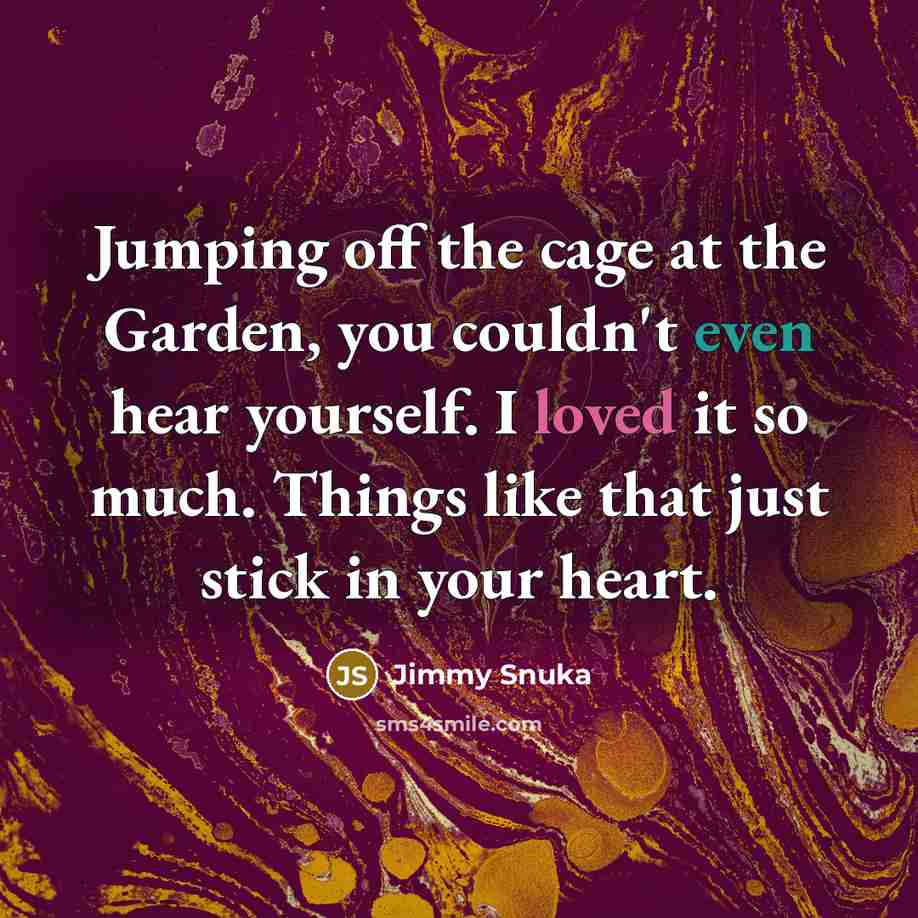 “Jumping off the cage at the Garden, you couldn't even…” quote by Jimmy Snuka