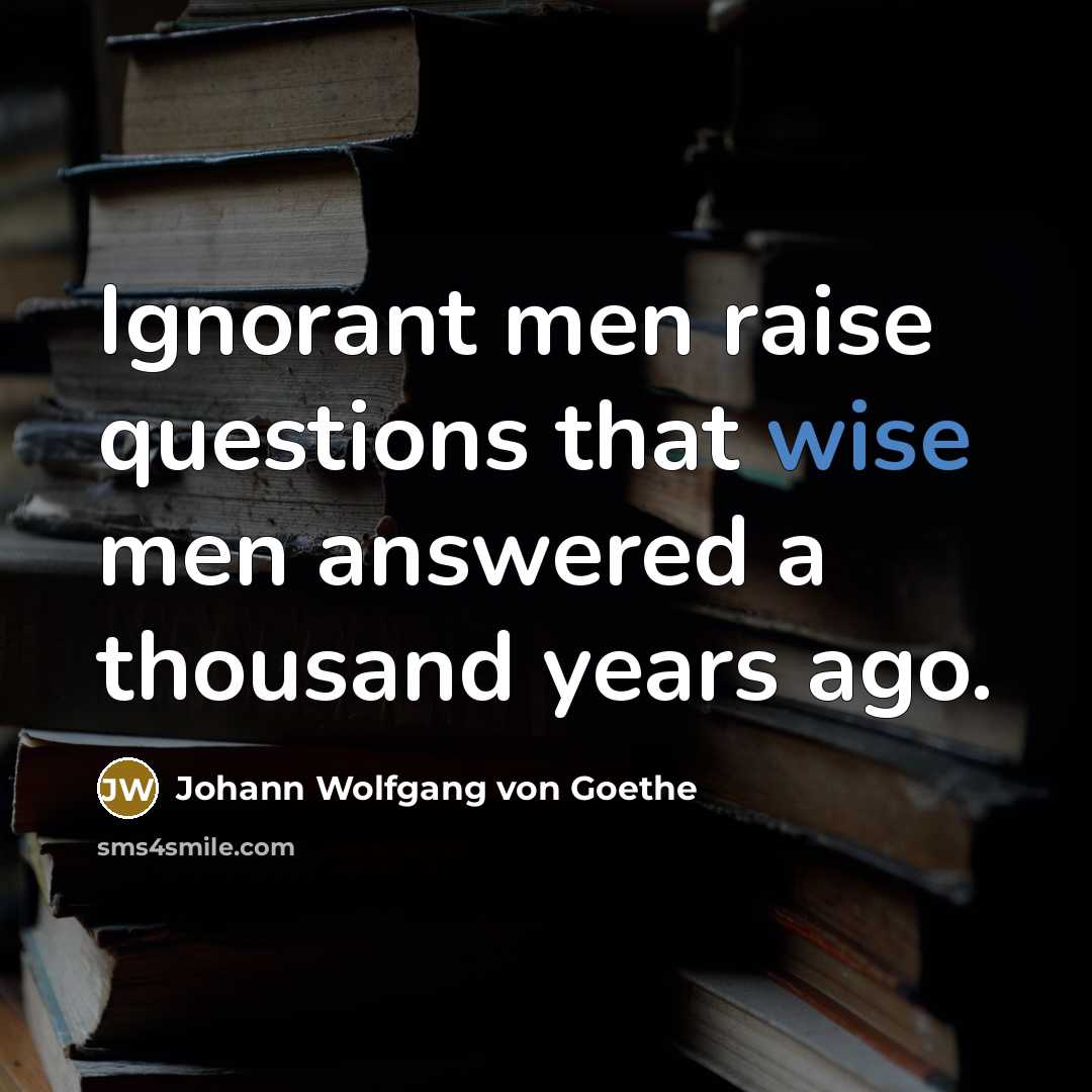 “Ignorant men raise questions that wise men answered a thousand…” quote by Johann Wolfgang von Goethe