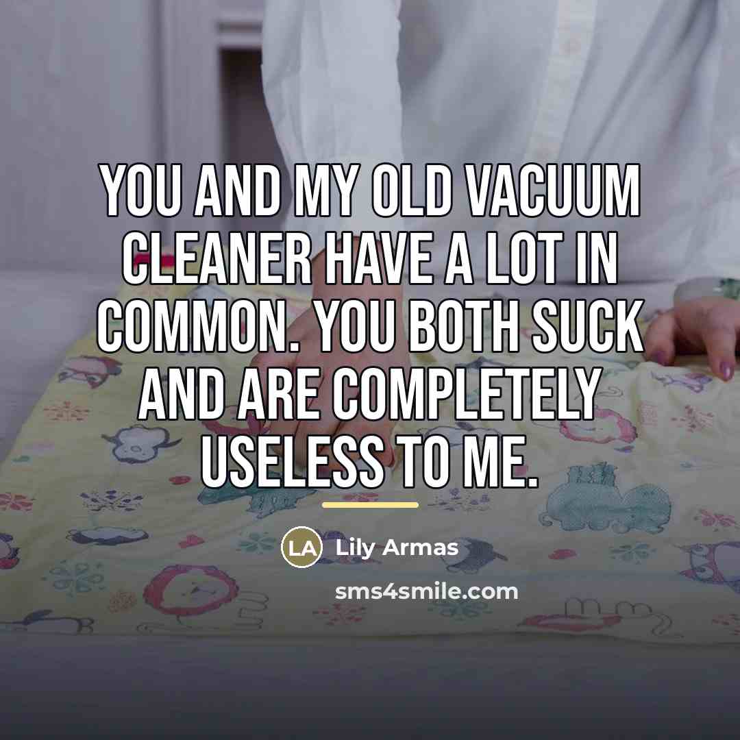 “You and my old vacuum cleaner have a lot in…” quote by Lily Armas