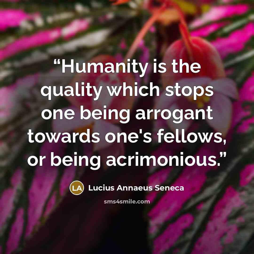 “Humanity is the quality which stops one being arrogant towards one's fellows, or being acrimonious.” quote by Lucius Annaeus Seneca
