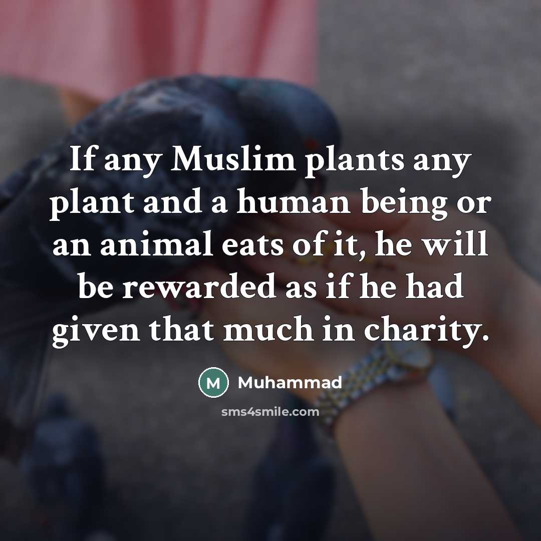 “If any Muslim plants any plant and a human being…” quote by Muhammad
