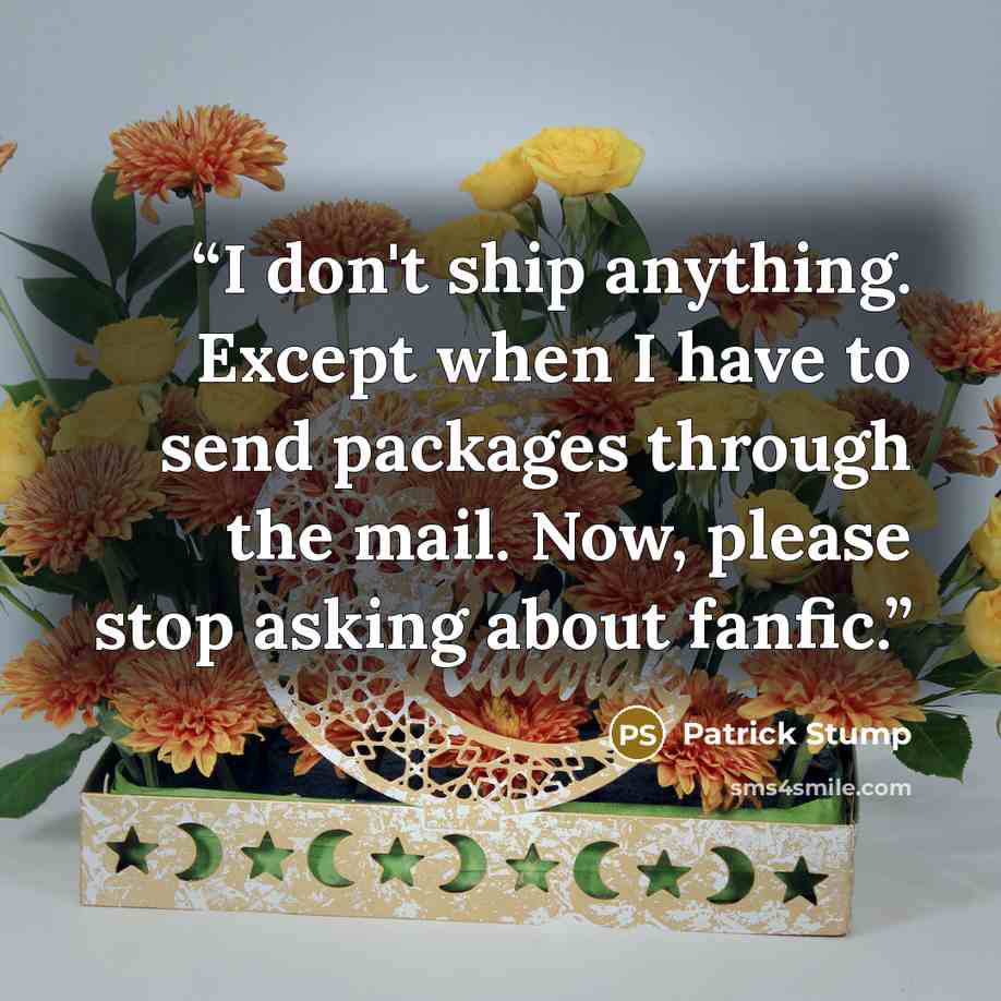 “I don't ship anything. Except when I have to send packages through the mail. Now, please stop asking about fanfic.” quote by Patrick Stump