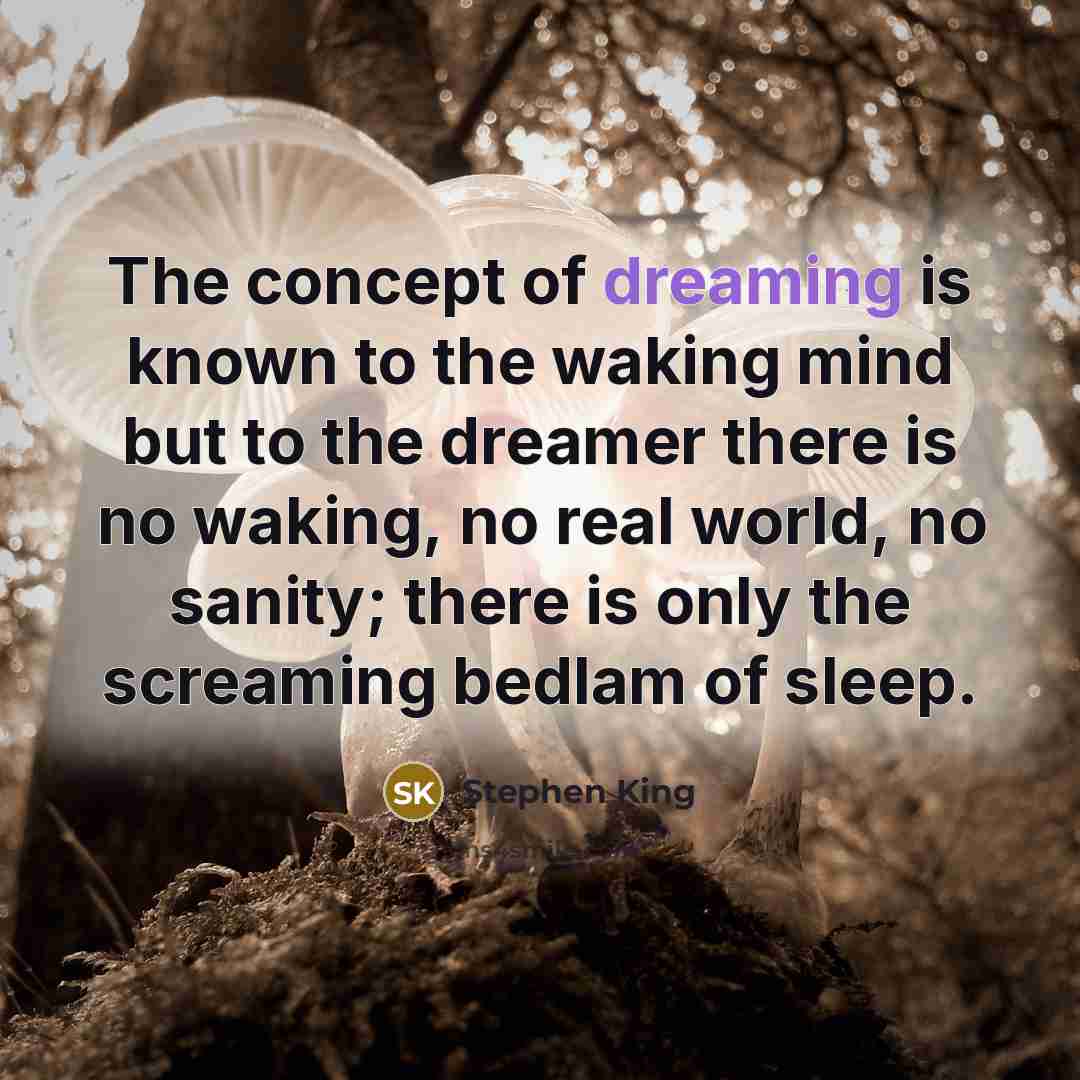 “The concept of dreaming is known to the waking mind…” quote by Stephen King
