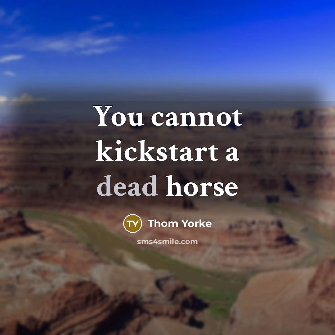 “You cannot kickstart a dead horse” quote by Thom Yorke
