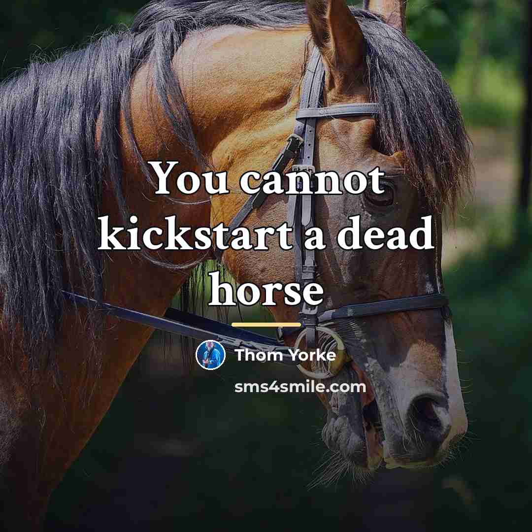 “You cannot kickstart a dead horse…” quote by Thom Yorke