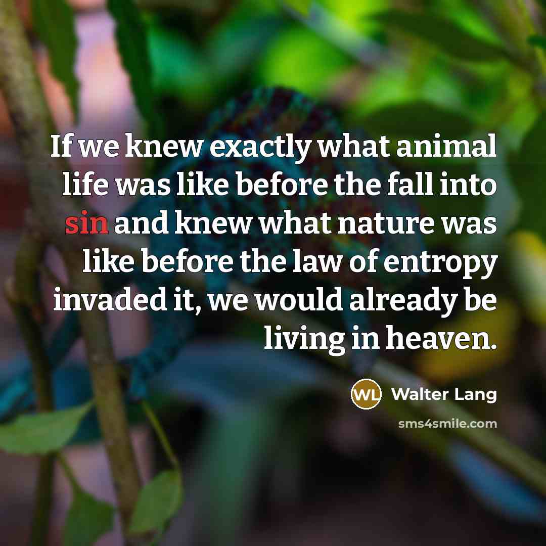 “If we knew exactly what animal life was like before…” quote by Walter Lang