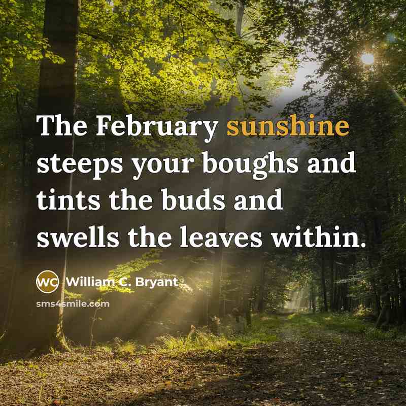 “The February sunshine steeps your boughs and tints the buds…” quote by William C. Bryant